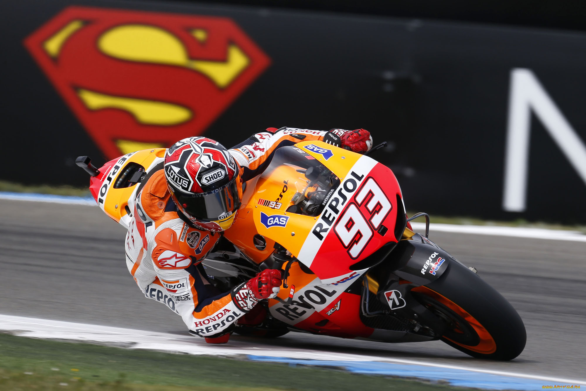 , , motogp, 2013